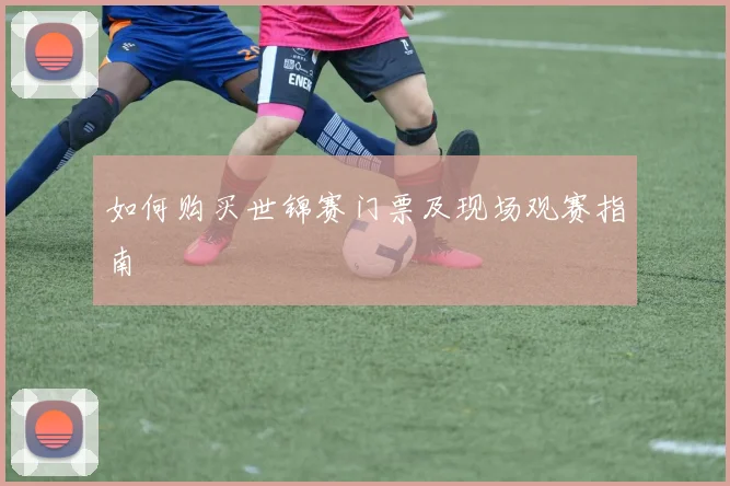 如何购买世锦赛门票及现场观赛指南